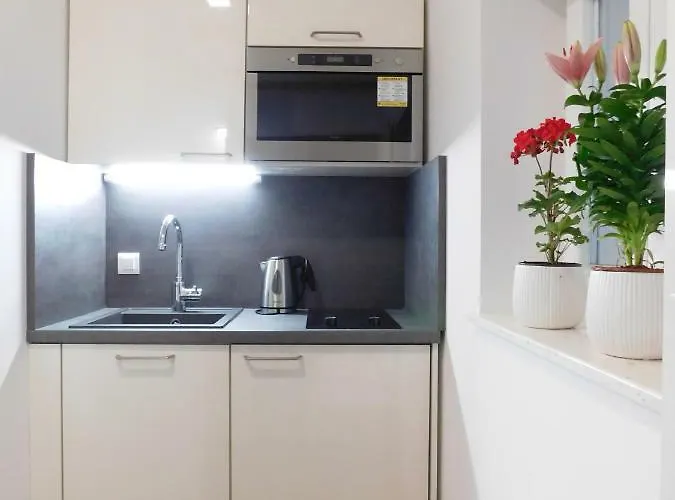 Studio Apartment Milla Split