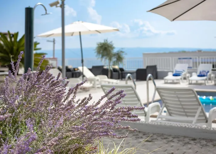Apartments Kamelija Split acceptant les animaux